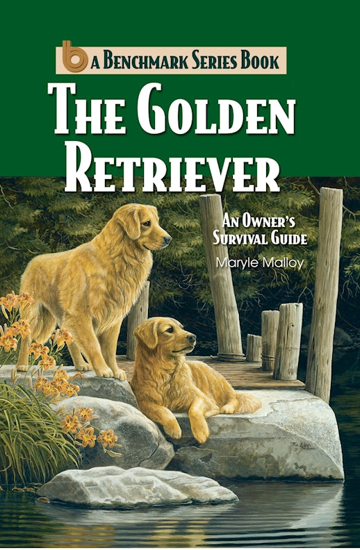 The Golden Retriever