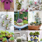 50 Simple Indoor Miniature Gardens