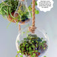 50 Simple Indoor Miniature Gardens