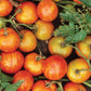 You Bet Your Garden Guide to Growing Great Tomatoes, Second Edition