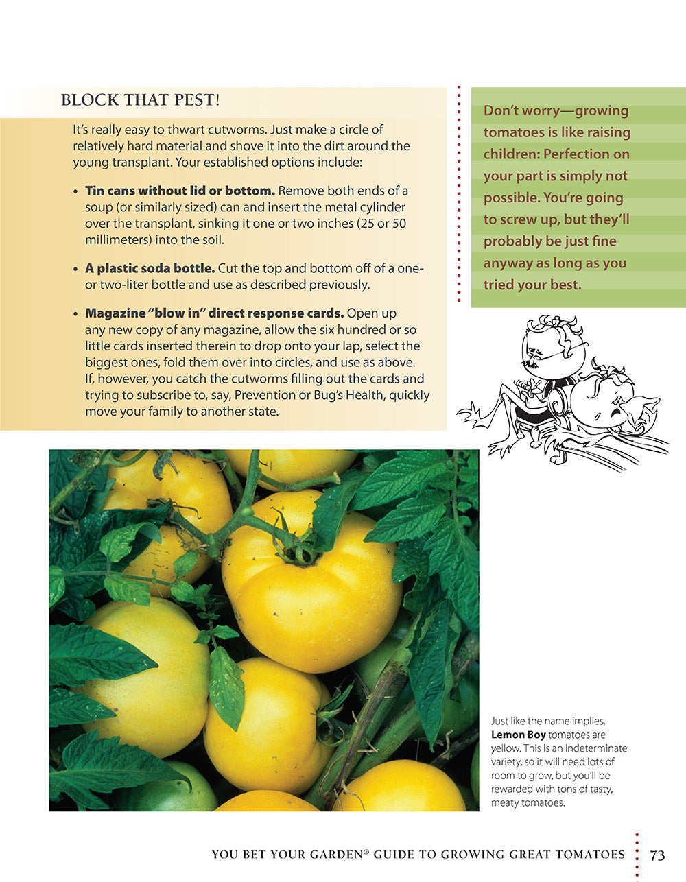 You Bet Your Garden Guide to Growing Great Tomatoes, Second Edition