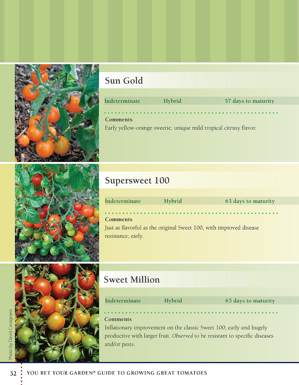 You Bet Your Garden Guide to Growing Great Tomatoes, Second Edition