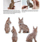 Whittling Flat-Plane Animals