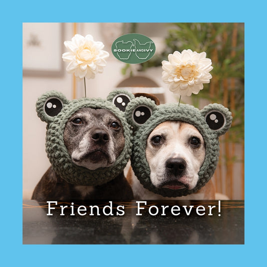 Sookie and Ivy Friends Forever!