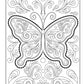 Boho Paisley Coloring Book