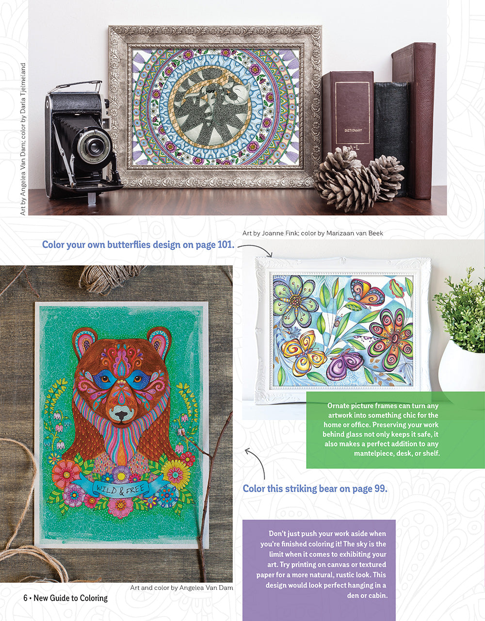 New Guide to Coloring for Crafts, Adult Coloring Books, and Other Coloristas!