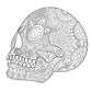 Sugar Skulls Coloring Book