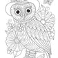 Groovy Owls Coloring Book