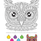 Groovy Owls Coloring Book