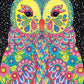 Hello Angel Owls Wild & Whimsical Coloring Collection