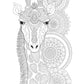 Hello Angel Fun & Fantastic Animals Adult Coloring Collection