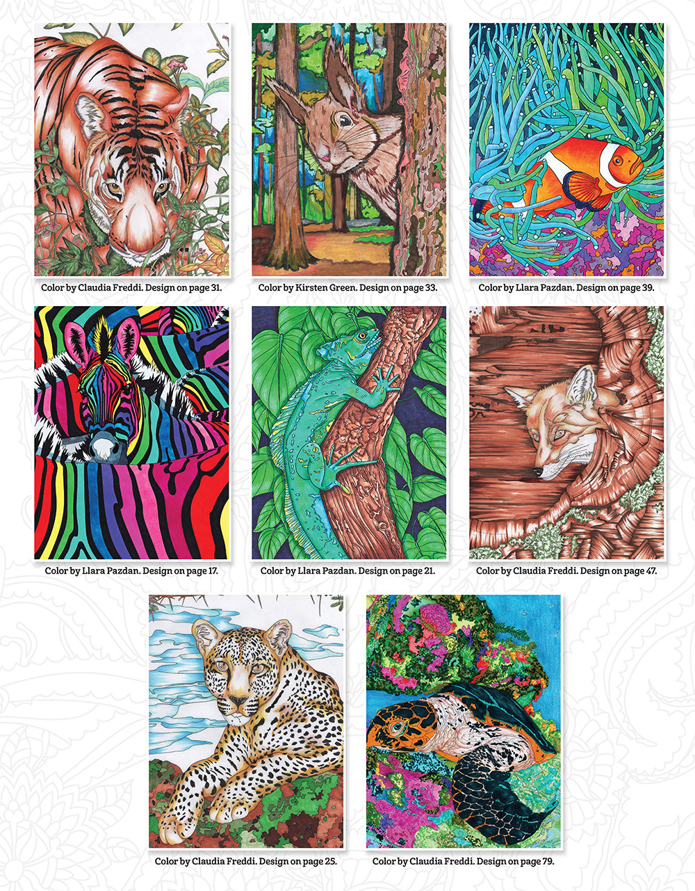 Hidden Animals Coloring Book