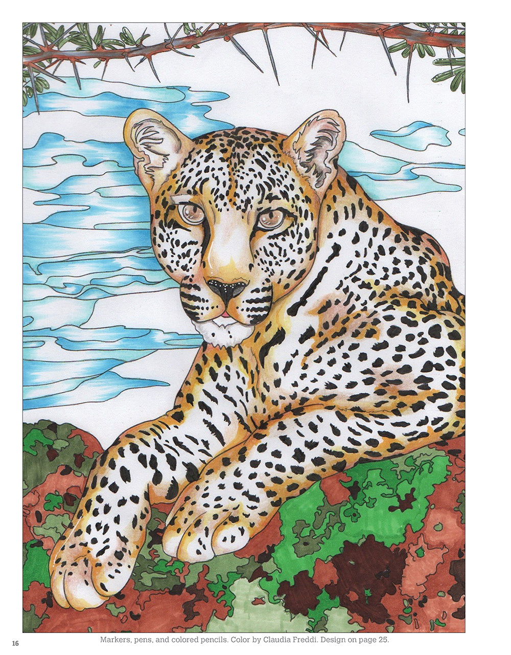 Hidden Animals Coloring Book