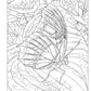 Joys of Nature Coloring Book