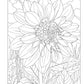 Joys of Nature Coloring Book