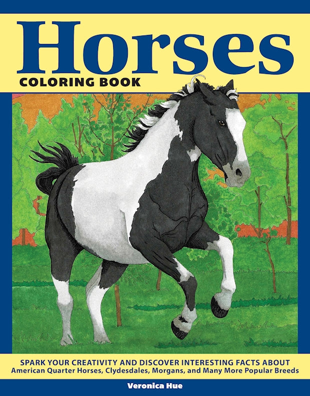 Horses Coloring Book