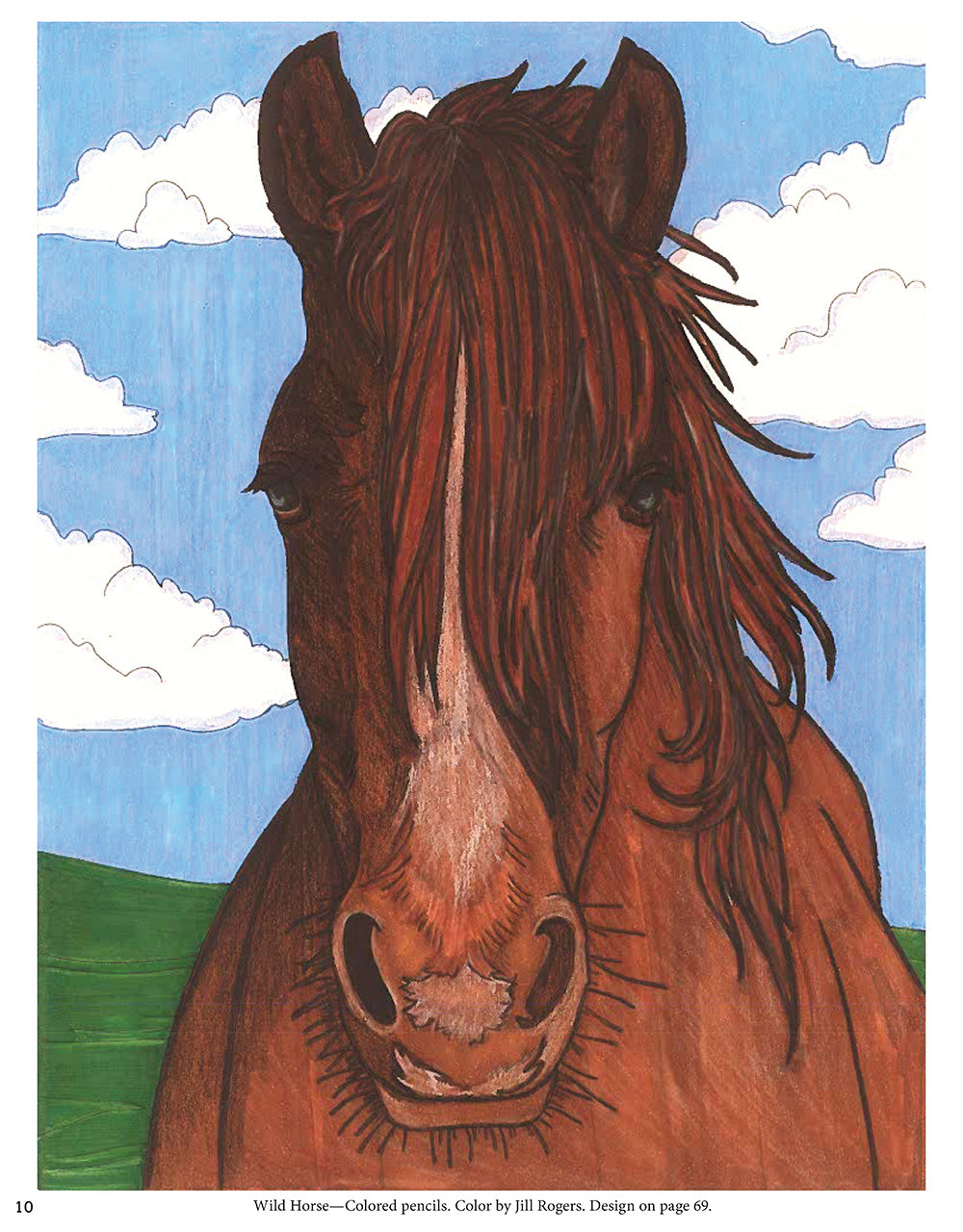 Horses Coloring Book