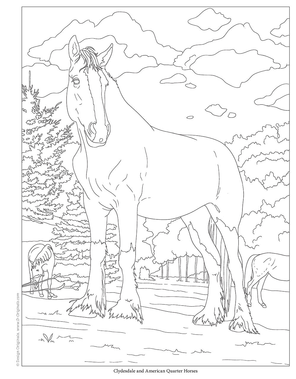 Horses Coloring Book