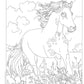 Horses Coloring Book