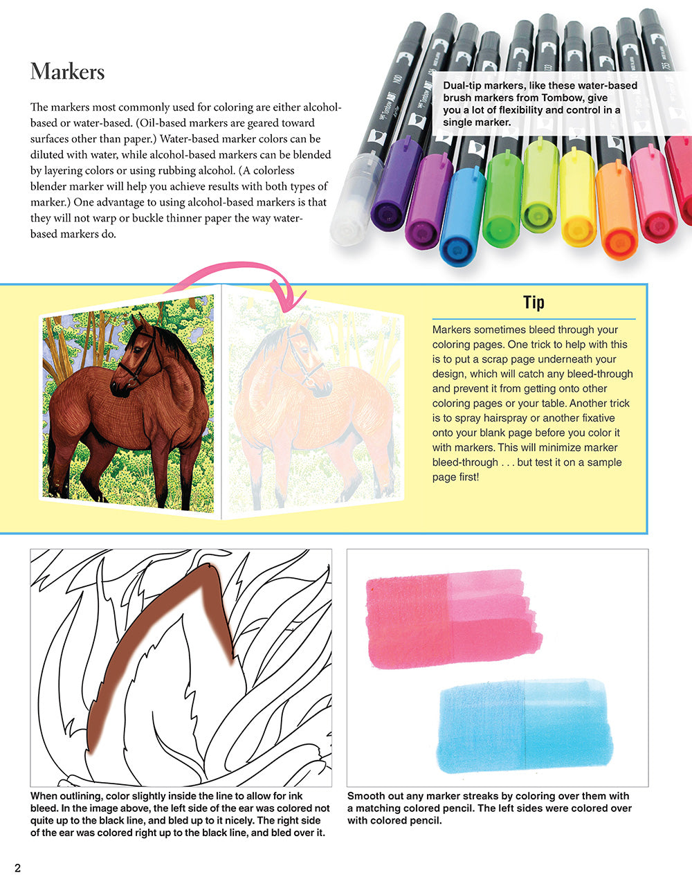 Horses Coloring Book