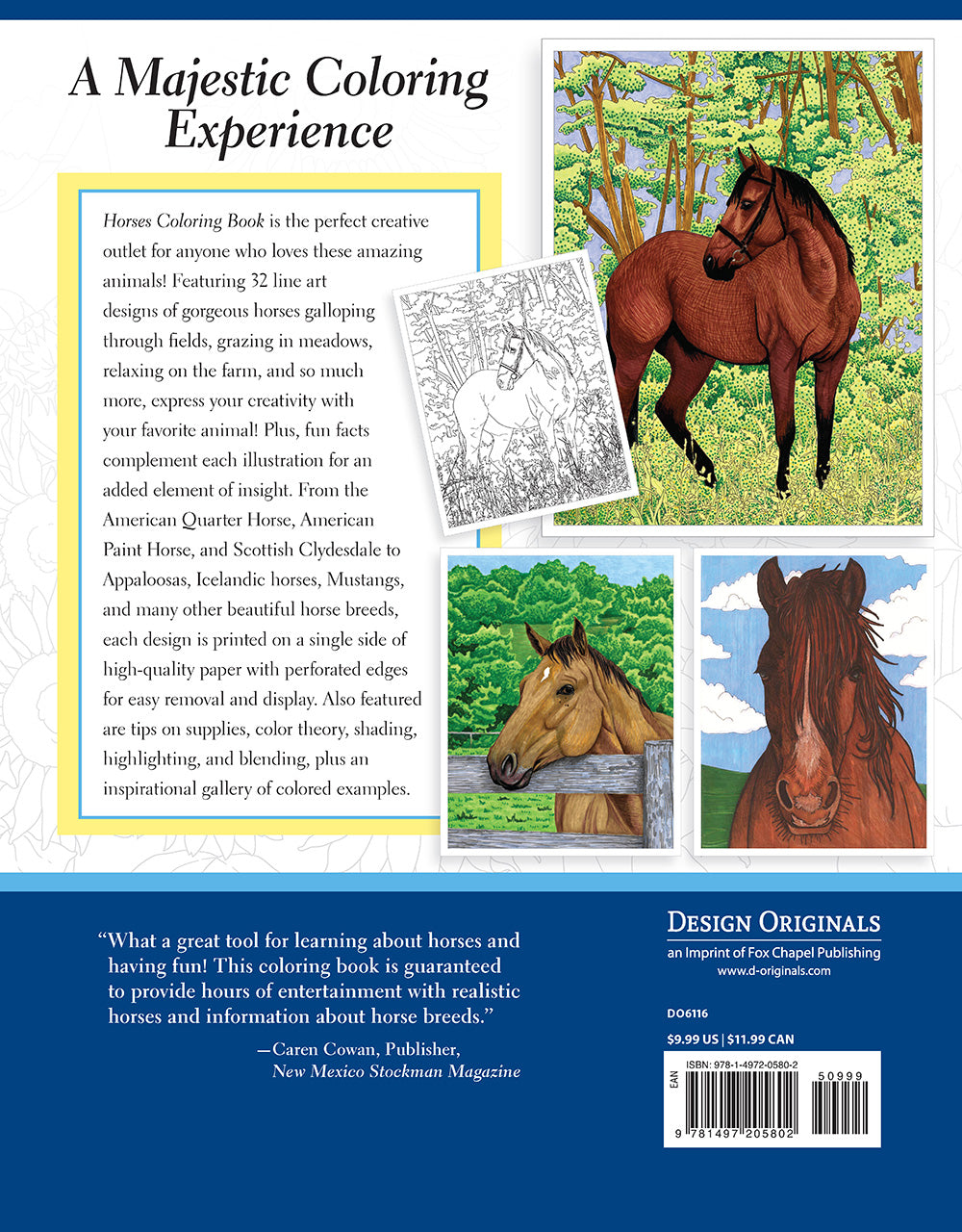 Horses Coloring Book