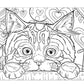 Cats & Kittens Coloring Book