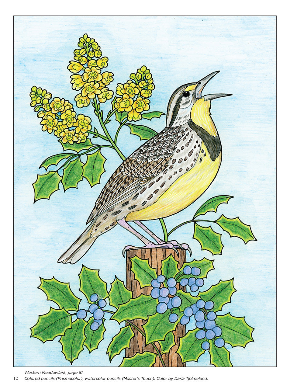 Birds at Home Coloring Book (Revised Edition)