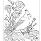 Birds at Home Coloring Book (Revised Edition)