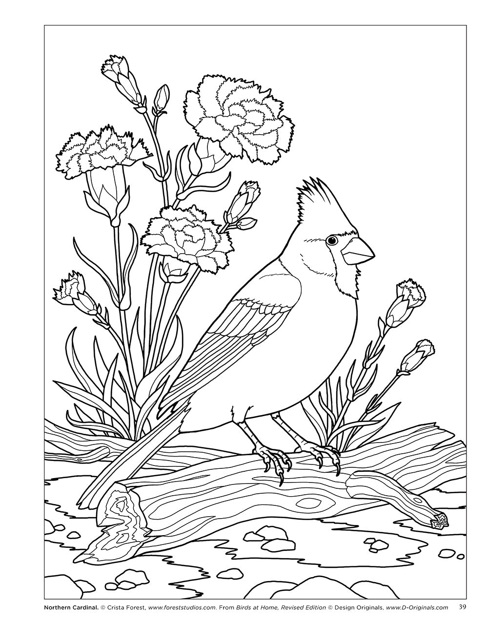 Birds at Home Coloring Book (Revised Edition)