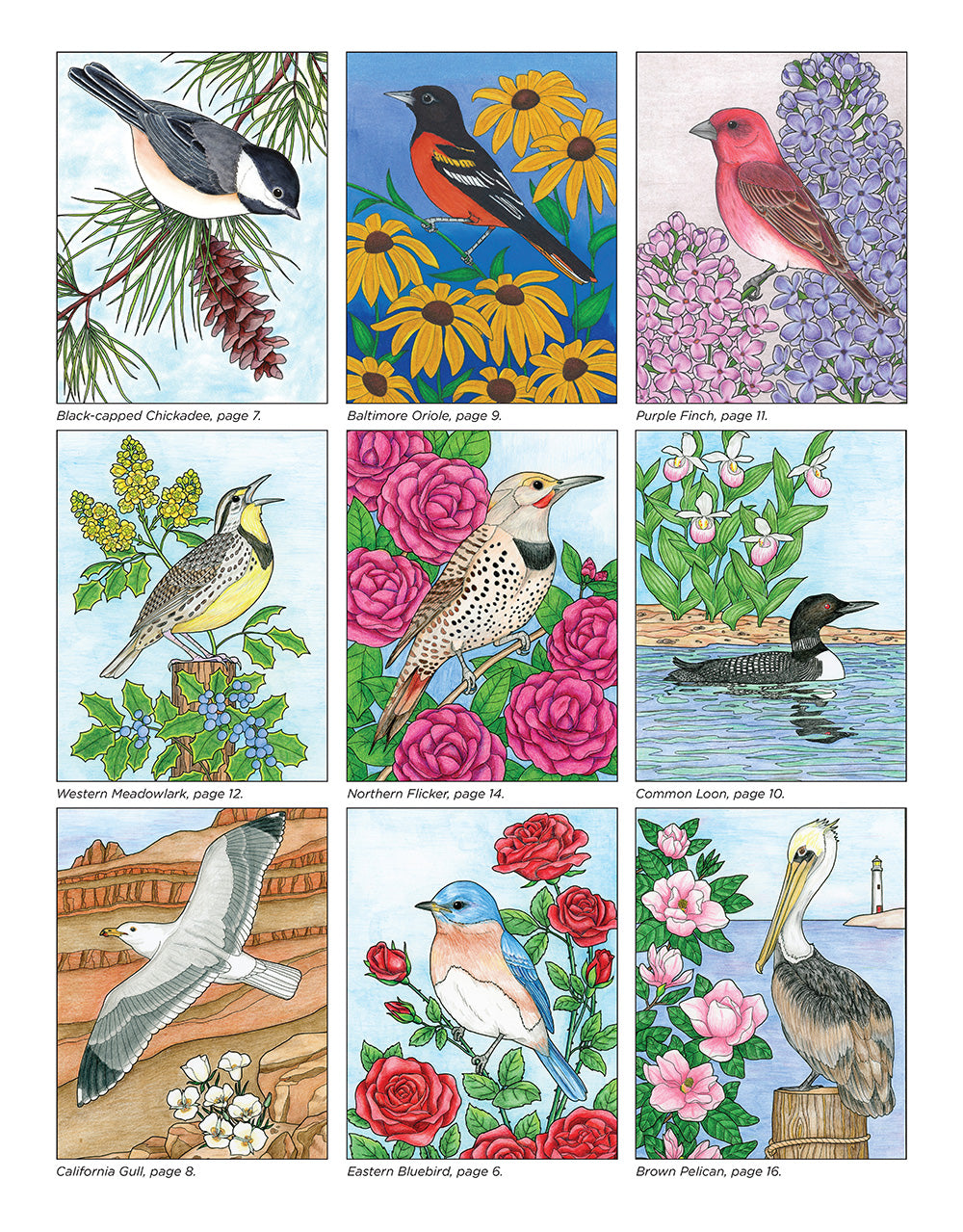 Birds at Home Coloring Book (Revised Edition)