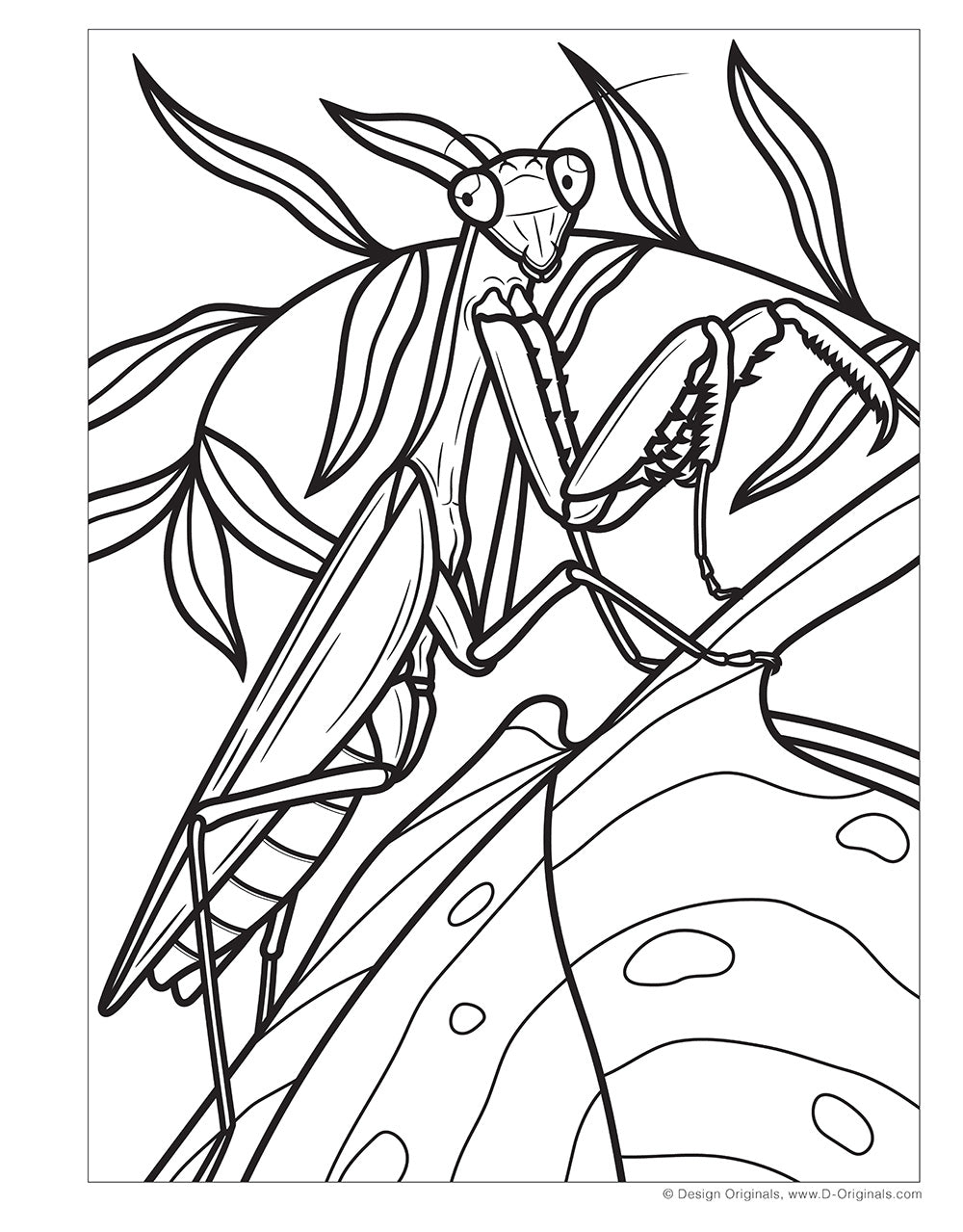 Super Cool Bugs and Spiders Coloring Book