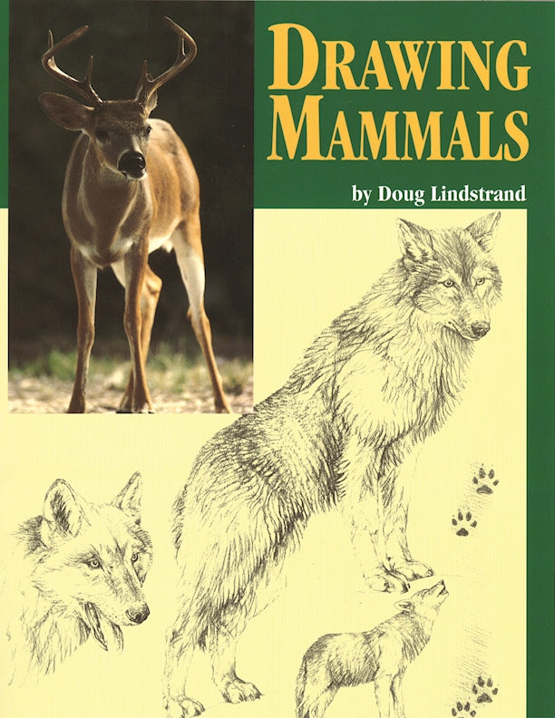 Drawing Mammals