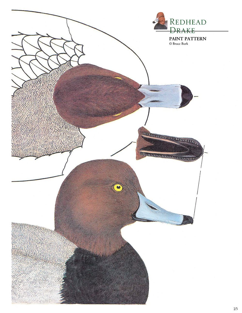 Decorative Decoy Carvers Ultimate Painting & Pattern Portfolio, Series Two