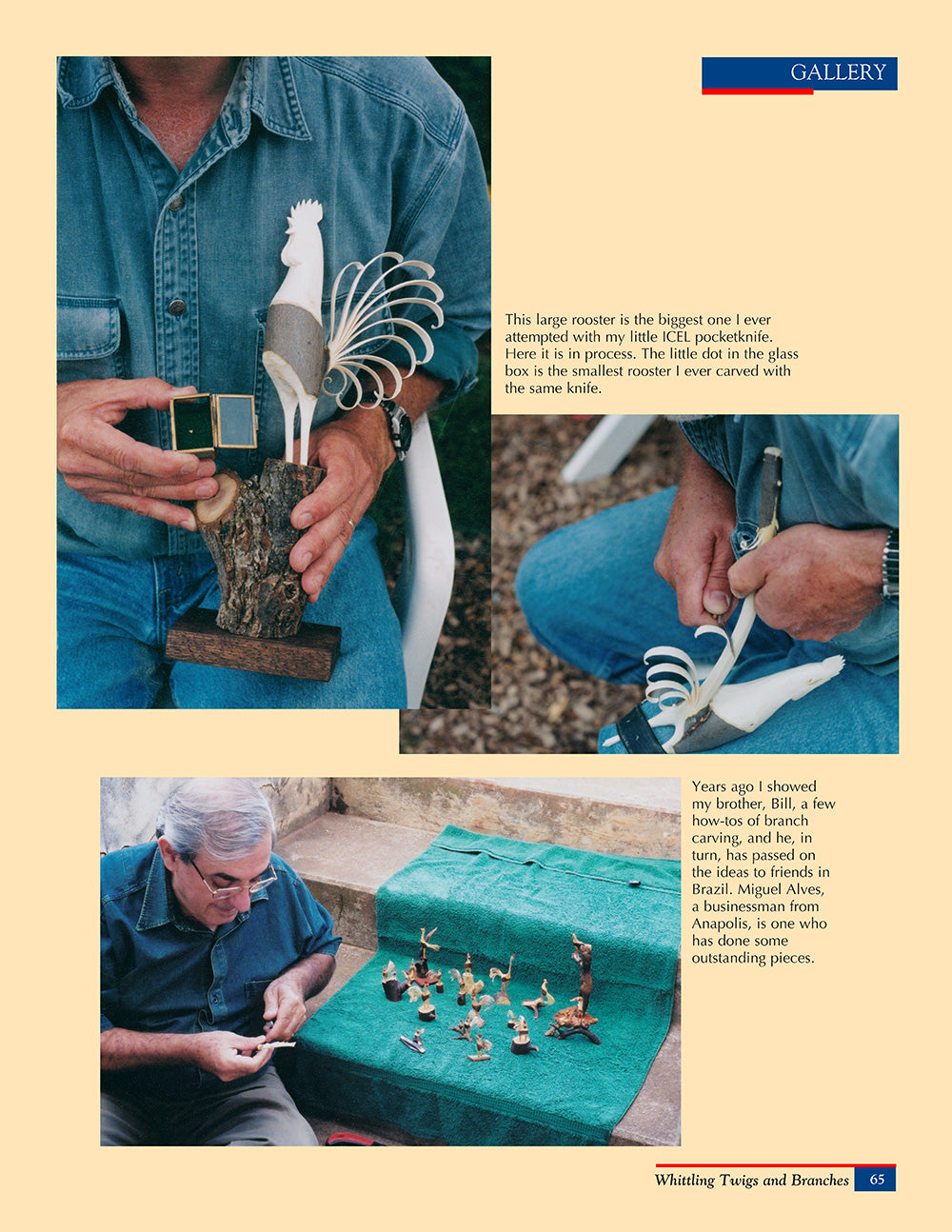 Whittling Twigs & Branches - 2nd Edition