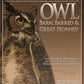 Illustrated Owl: Barn, Barred & Great Horned