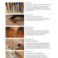 Chris Pye's Woodcarving Course & Reference Manual