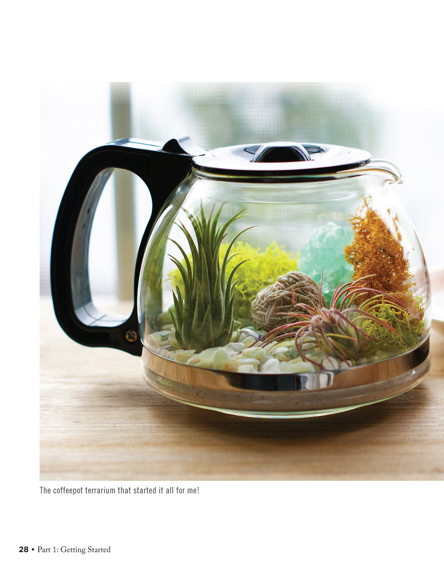 Creative Terrariums