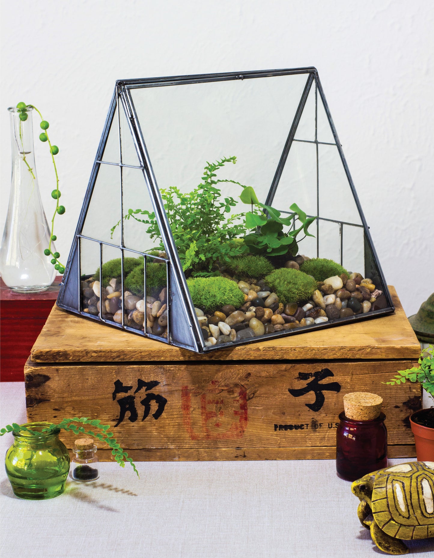 Creative Terrariums