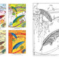 Expressions of Nature Coloring Book