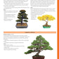 Complete Starter Guide to Bonsai