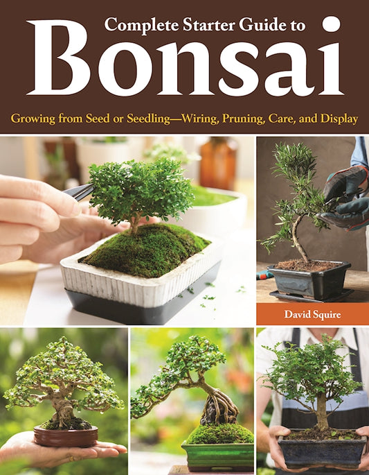 Complete Starter Guide to Bonsai