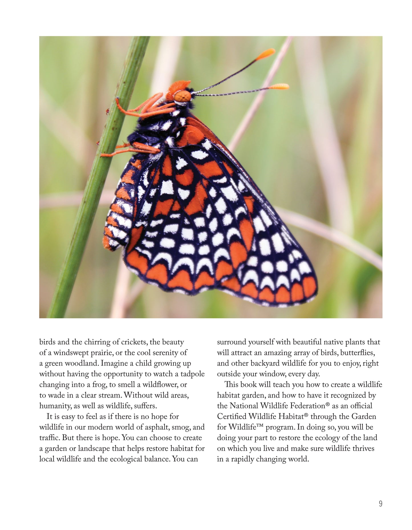 National Wildlife Federation®: Attracting Birds, Butterflies, and Other Backyard Wildlife, Expanded Second Edition