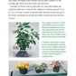 Pocket Guide to Houseplants