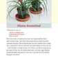 Pocket Guide to Houseplants