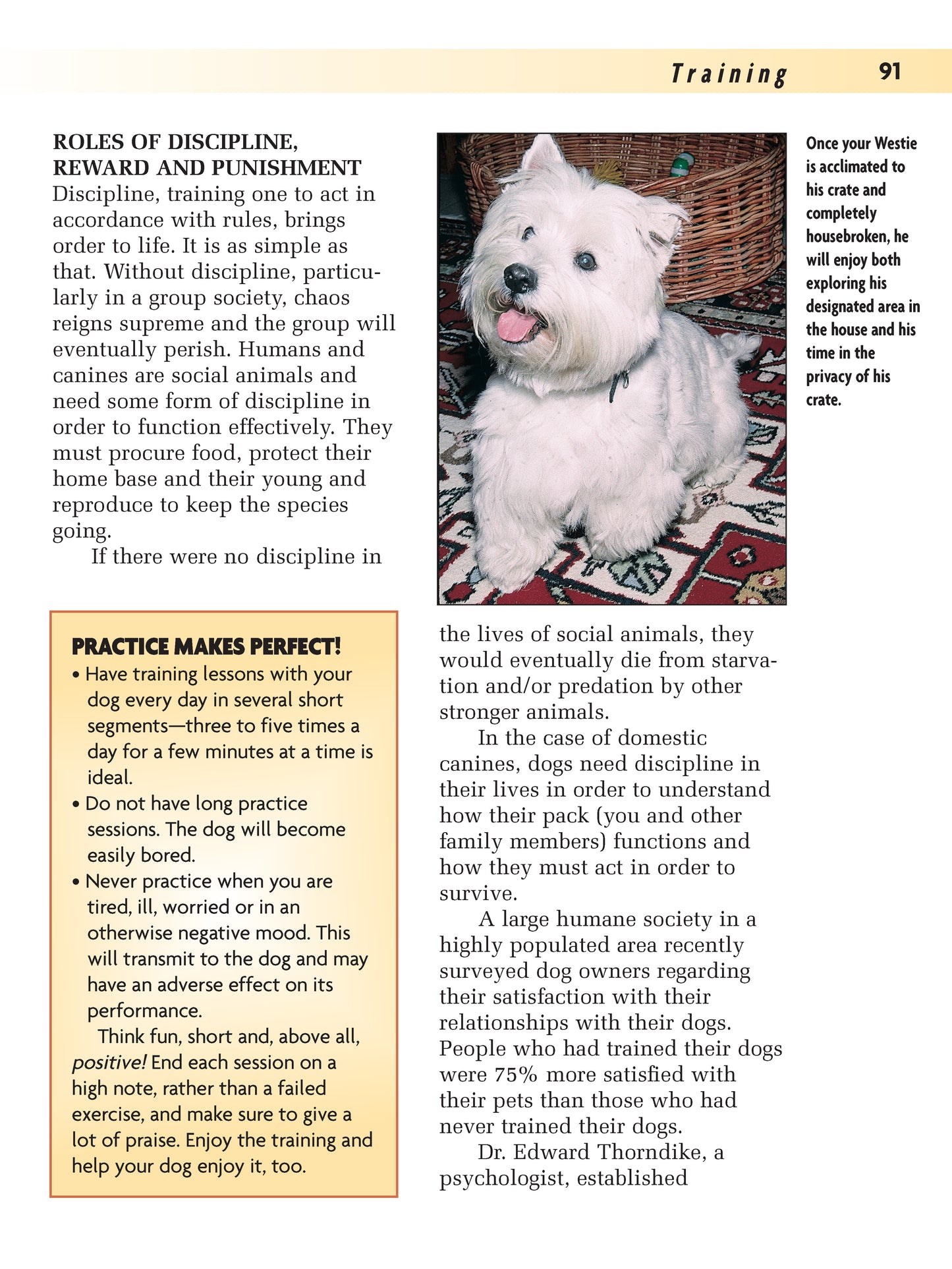 West Highland White Terrier