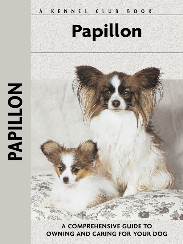 Papillon