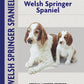 Welsh Springer Spaniel