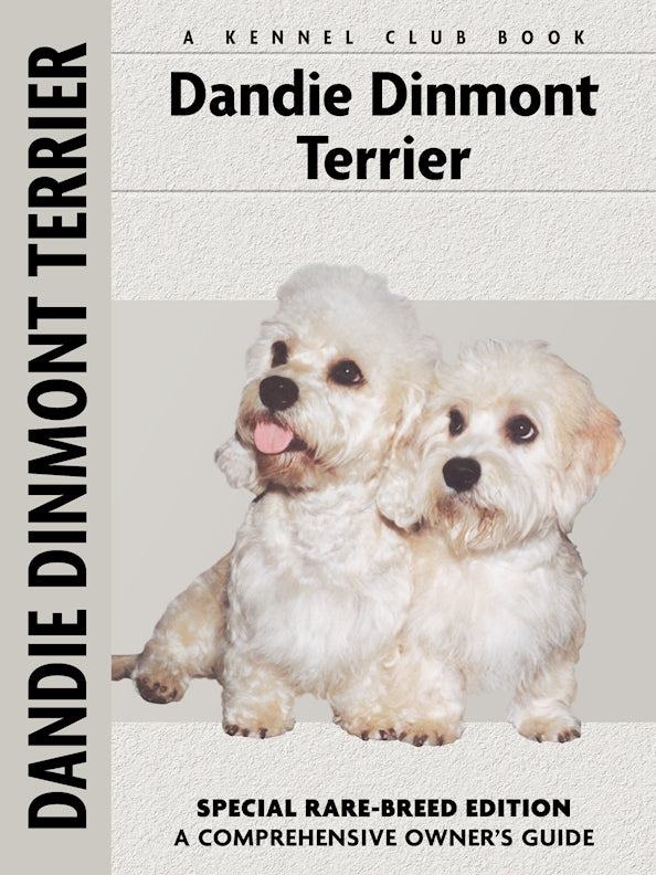 Dandie Dinmont Terrier