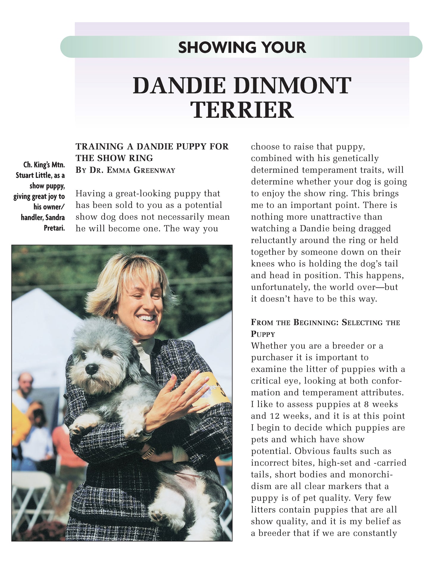 Dandie Dinmont Terrier