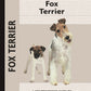 Fox Terrier